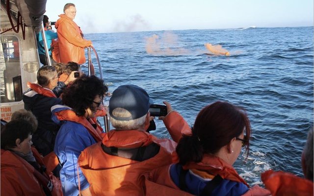 Gansbaai Birkenhead se 164 ste 4